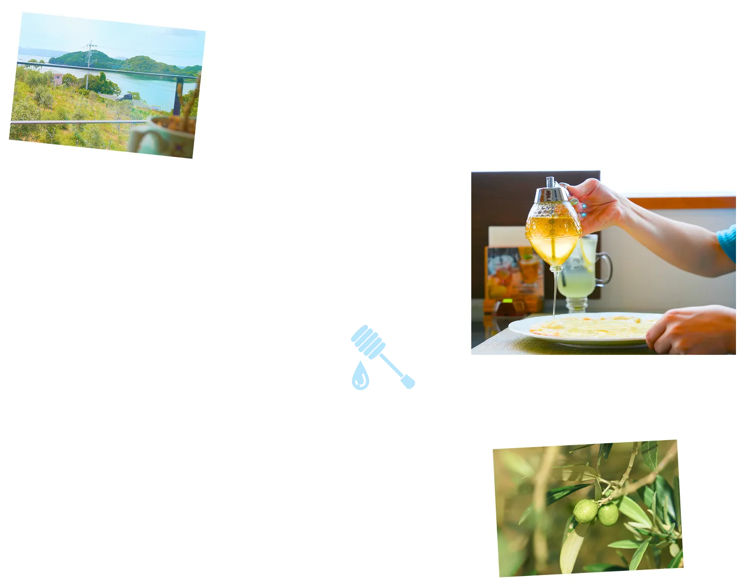 はちみつcaféオリーブハニー