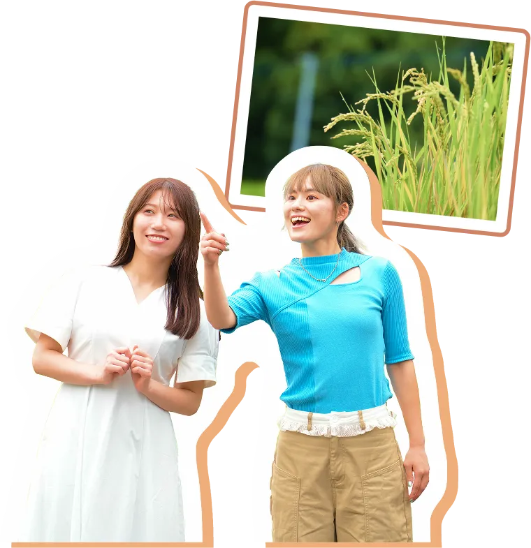 日向の棚田のなかで豊かに育まれた稲を眺める様子。