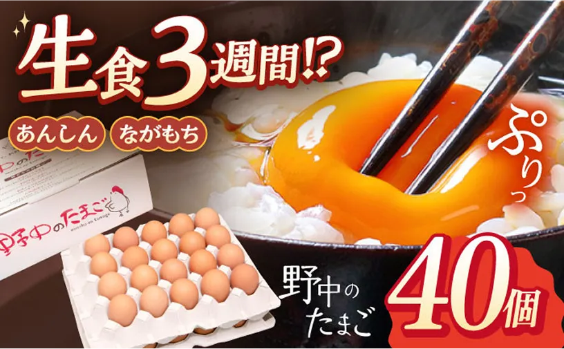 産みたて新鮮卵野中のたまご